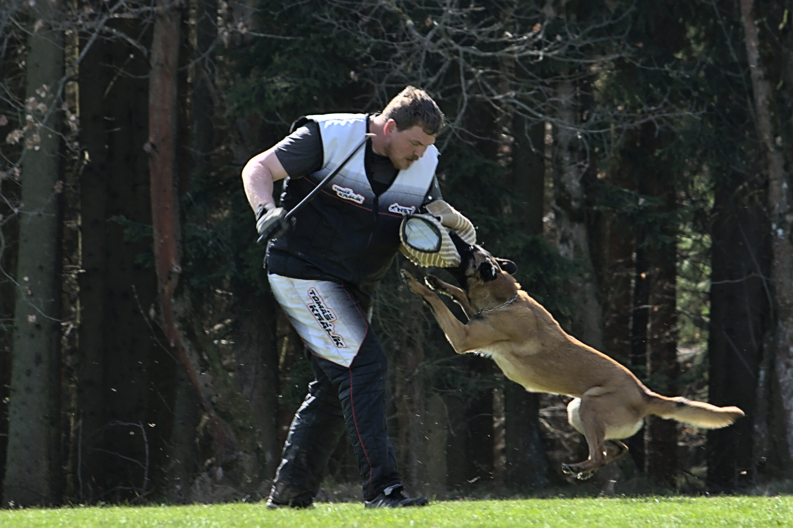 Podbrdský pohár XXXIII. ročník