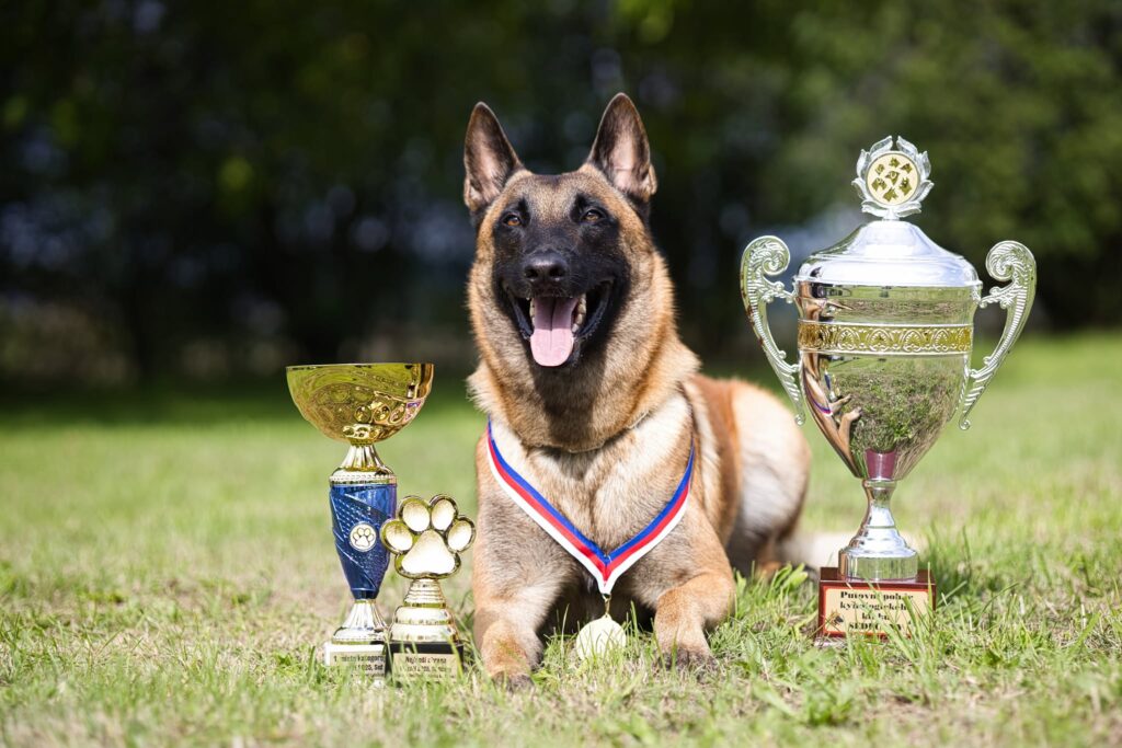 O putovní pohár města Sedlčany