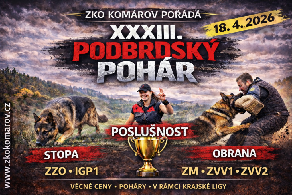 Podbrdský pohár XXXIII. ročník