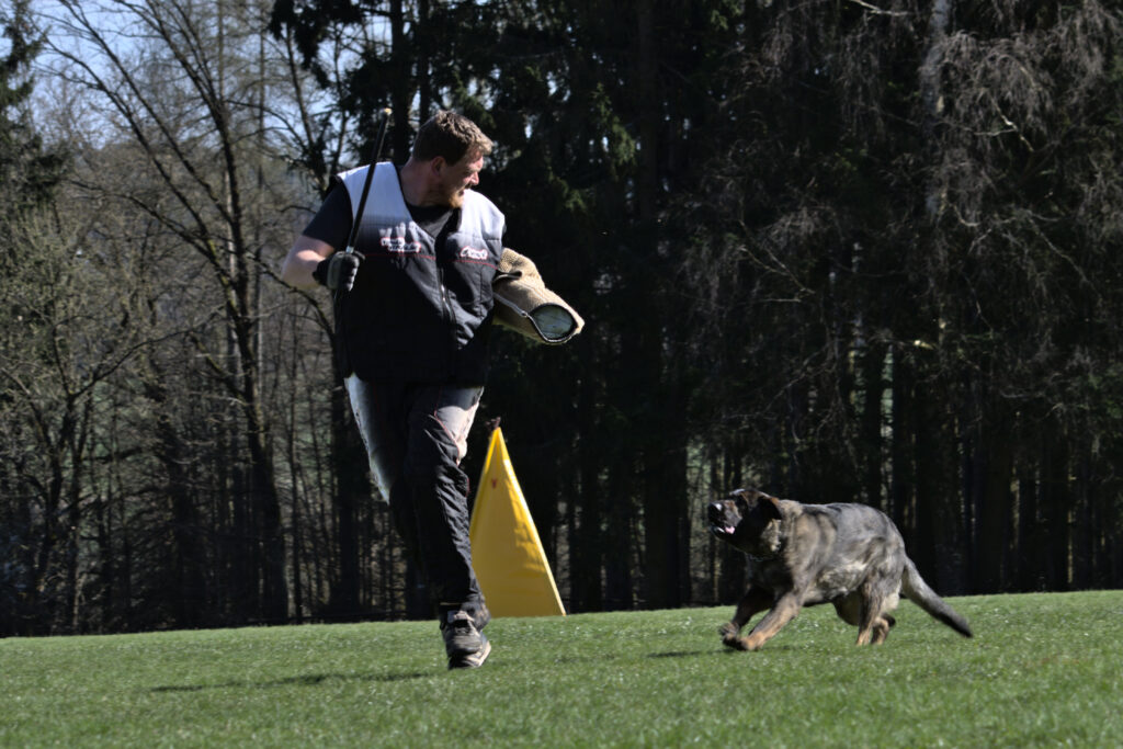 Podbrdský pohár XXXIII. ročník